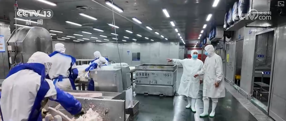 秋满神州“丰”景万里多视角解锁“海上粮仓”丰收新场景、新变化(图10)