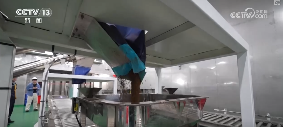 秋满神州“丰”景万里多视角解锁“海上粮仓”丰收新场景、新变化(图9)