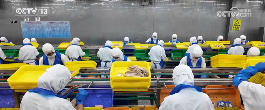 秋满神州“丰”景万里多视角解锁“海上粮仓”丰收新场景、新变化(图11)