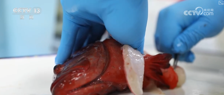 秋满神州“丰”景万里多视角解锁“海上粮仓”丰收新场景、新变化(图16)