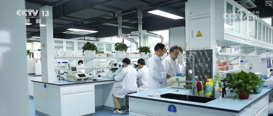 秋满神州“丰”景万里多视角解锁“海上粮仓”丰收新场景、新变化(图15)