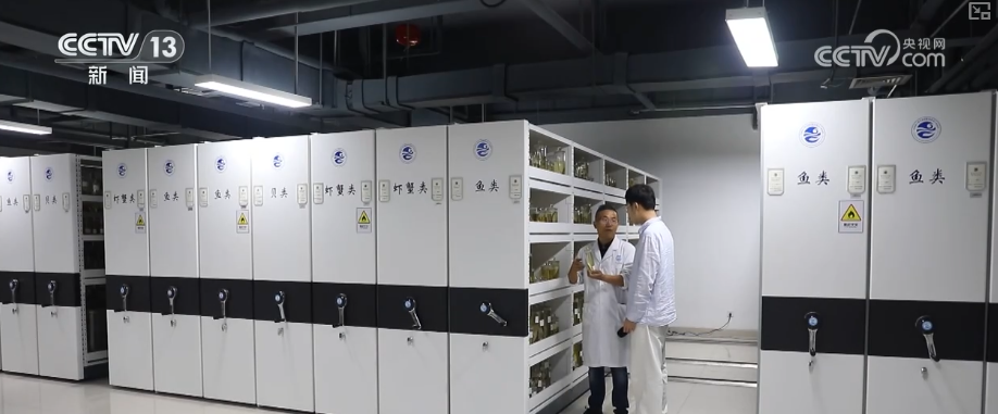 秋满神州“丰”景万里多视角解锁“海上粮仓”丰收新场景、新变化(图22)