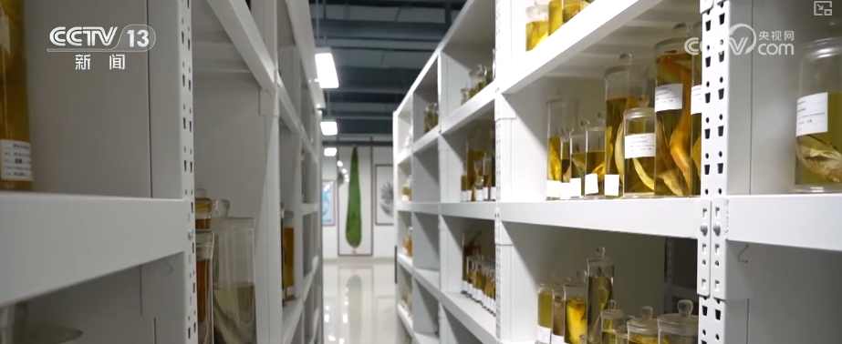 秋满神州“丰”景万里多视角解锁“海上粮仓”丰收新场景、新变化(图24)