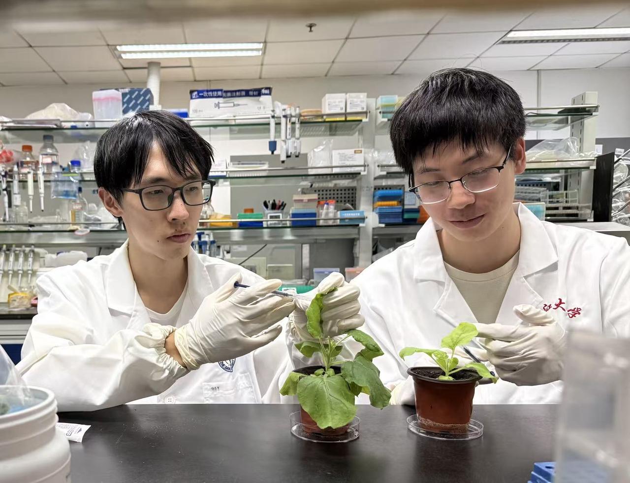 多学科交叉、多技术耦合、多领域渗透新农科何以兴农(图1)