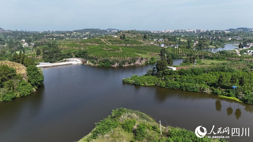 用心贴近群众以“网”为民服务(图2)