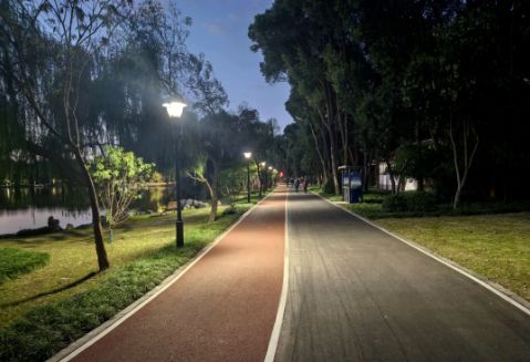 惊喜!扬子公园照明系统全域升级(图2)