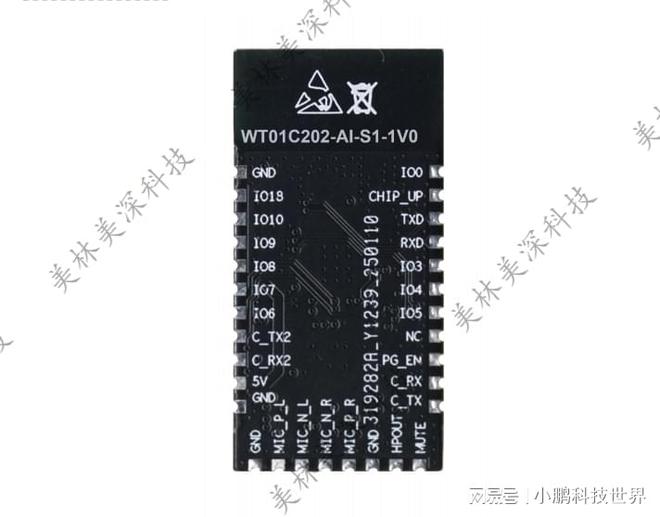 WT01C202-AI-S1智能语音AI模组：高集成度语音交互解决方案(图1)