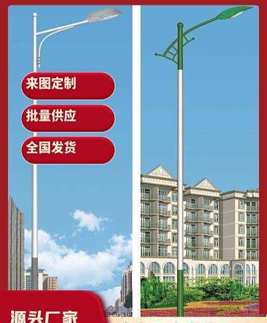 新建城区智慧路灯(图4)