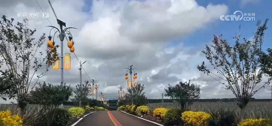 民生一件事“小路灯”照亮“大民生”城市“微更新”让城市有颜值更有温度(图10)