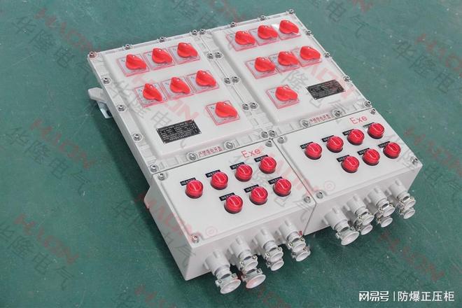 2025年专业的防爆照明配电箱——华隆电气：以精工科技守护(图1)