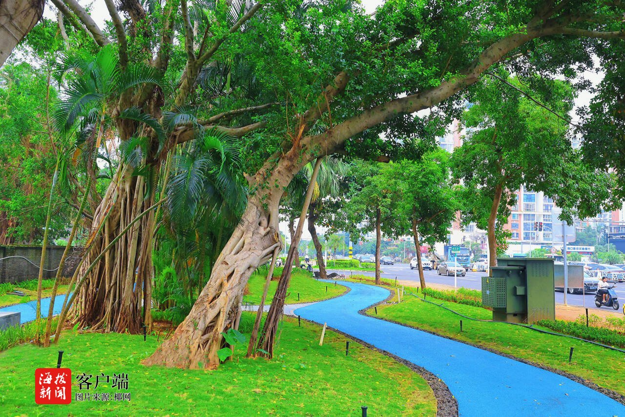 “方寸之美”绘就民生幸福底色海口美兰区两处“口袋公园”建成完工(图1)