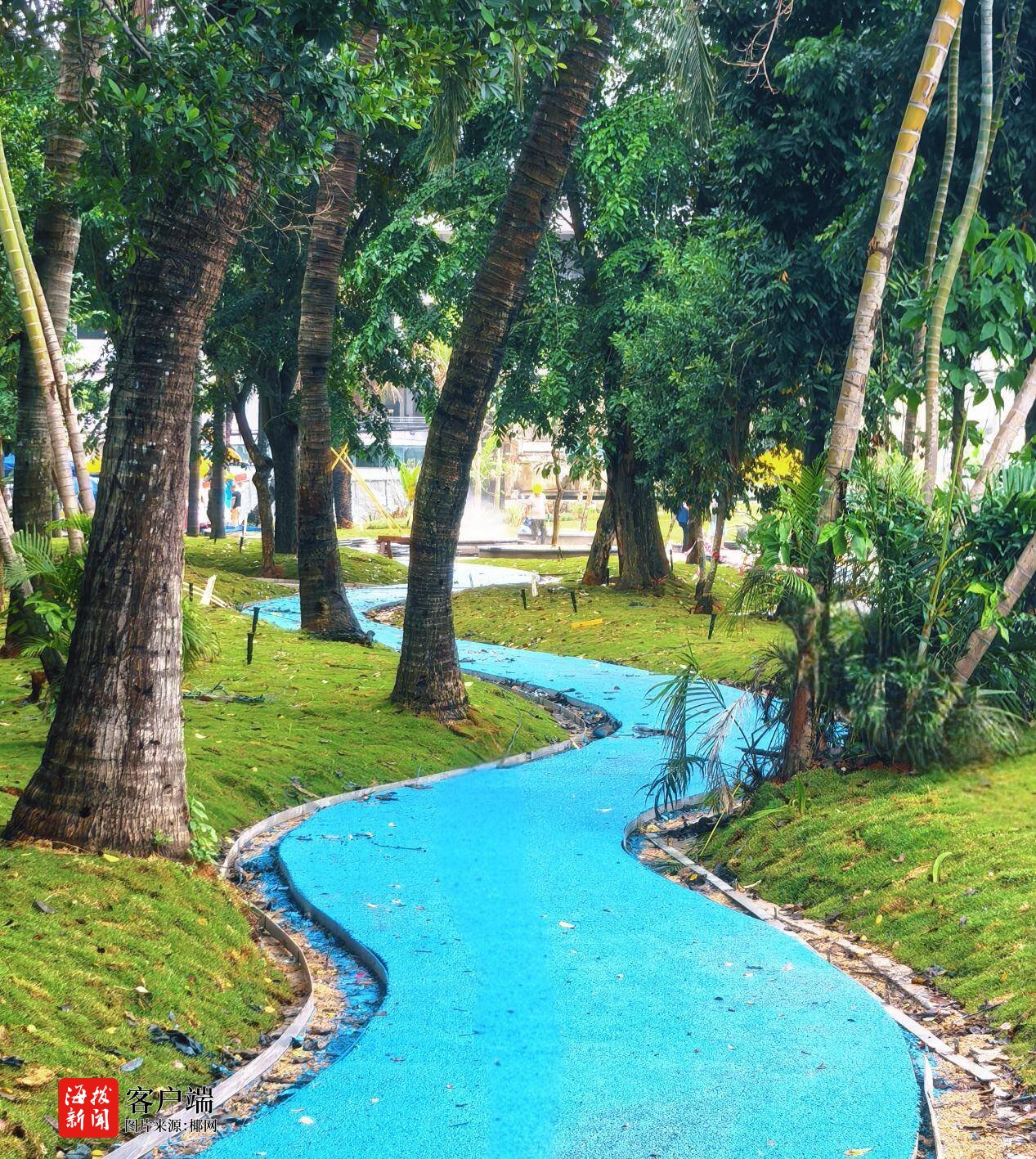 “方寸之美”绘就民生幸福底色海口美兰区两处“口袋公园”建成完工(图2)