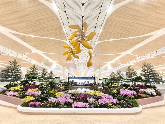 缔造湾区光影新地标：佛山照明点亮广州白云国际机场T3航站楼(图2)