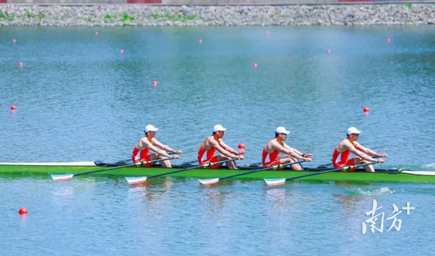 约80万吨碳排放全中和这届全运会如何做到？丨十五运会经济学(图7)