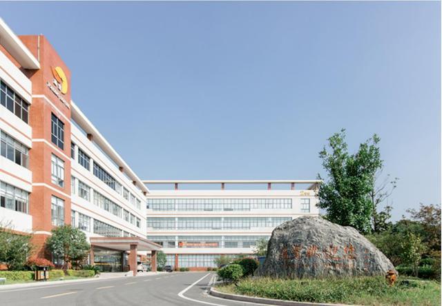 汽车电子赛道多点开花专精特新“小巨人”通宝光电冲关资本市场(图1)