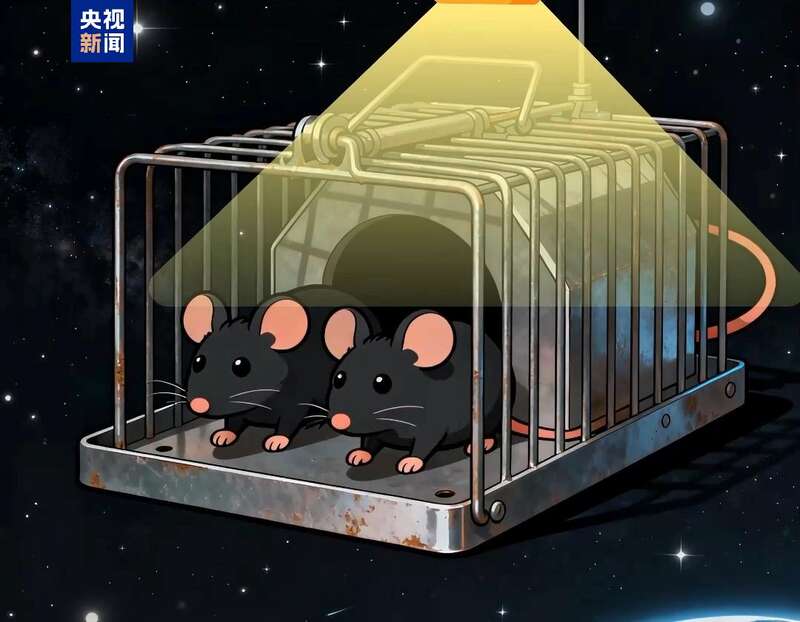 “星际快递”开箱！“航天鼠”的太空奇遇(图1)