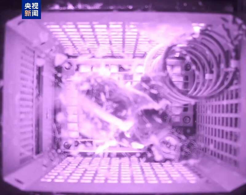 “星际快递”开箱！“航天鼠”的太空奇遇(图3)