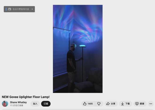 盘点头部智能灯带出海品牌Govee、Lepro合作过的高ROI红人(图5)