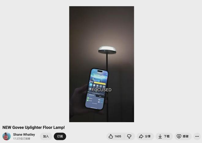盘点头部智能灯带出海品牌Govee、Lepro合作过的高ROI红人(图6)