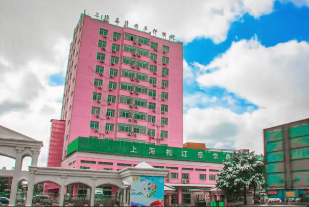 上海市普陀区宜川路街道中山北路养老院2025年智慧照护升级:部署智能安防系统上海养老院及价格清单(图3)