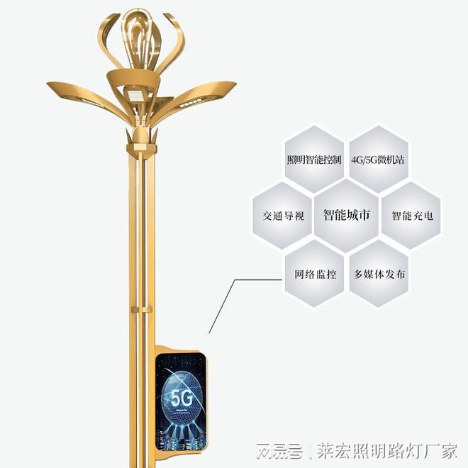 四川莱宏照明工程集团：专注太阳能路灯、玉兰灯、智慧路灯照亮(图1)