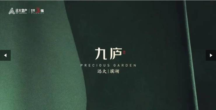 合肥远大九庐首页售楼处丨合肥远大九庐指定网站售楼部欢迎您丨户型丨位置丨详情丨预约看房(图5)