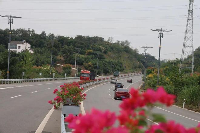灯光暖城智联赋能！当阳智慧路灯点亮城市新夜景(图5)