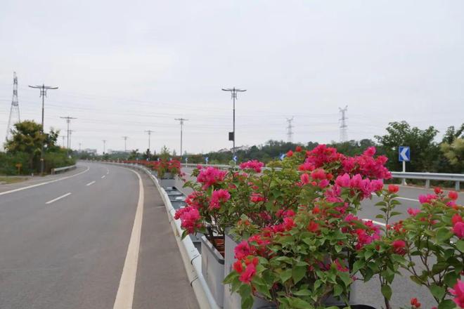 灯光暖城智联赋能！当阳智慧路灯点亮城市新夜景(图6)