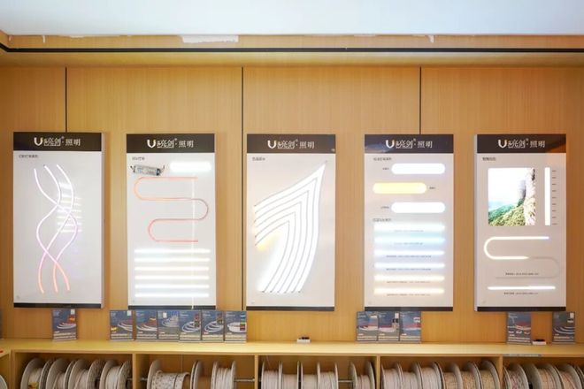 依旧处于增量期！亮剑照明董事长汪剑飞：线性照明有望成为独立大品类！(图6)