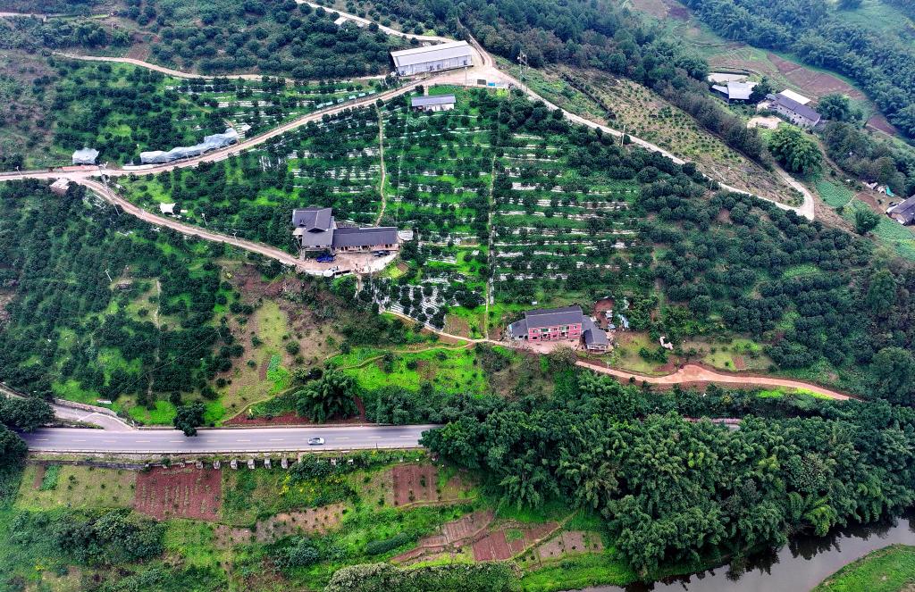 春日经济新图景丨最生动的是田野上这一幅幅“科技春耕”图!(图1)