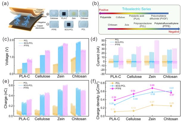 咖啡渣发了一篇AFM！广西大学鲁鹏课题组：基于废咖啡渣的全降解摩擦电纳米发电机问世(图3)