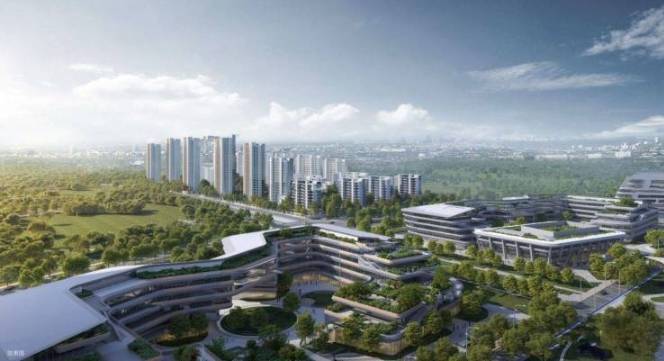 【售楼部】伟星万科星遇光年项目电话号码-学区(图1)